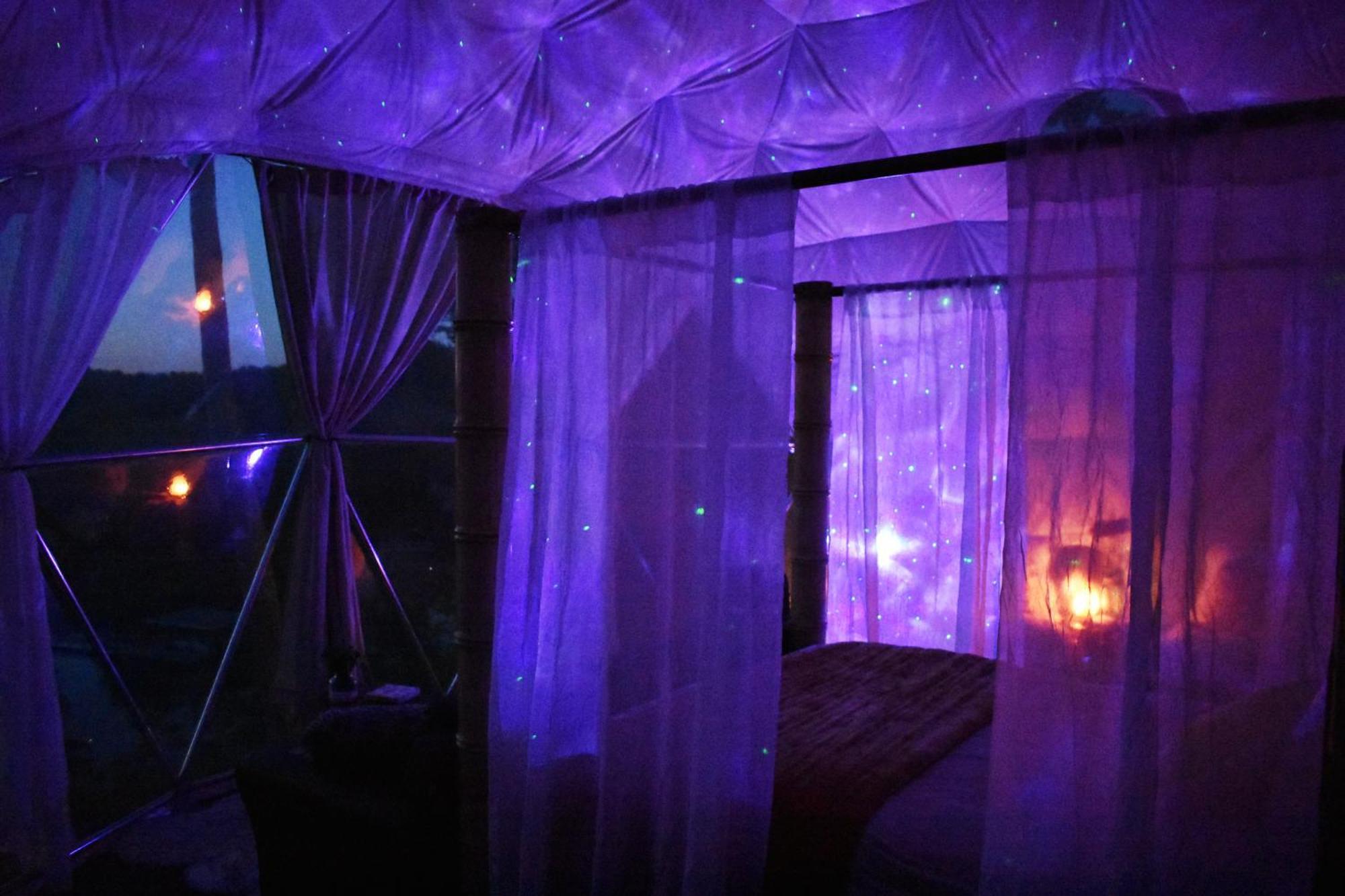 Hotel Waterfront Luxury Glamping Dome Rogersville Exteriér fotografie